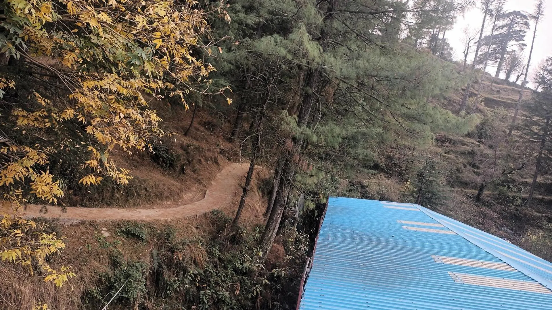 Him Aaranya Home Stay Shimla